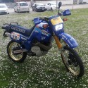 XT 600 Z TENERE 1985 REPLICA GAULOISES PARIS DAKAR